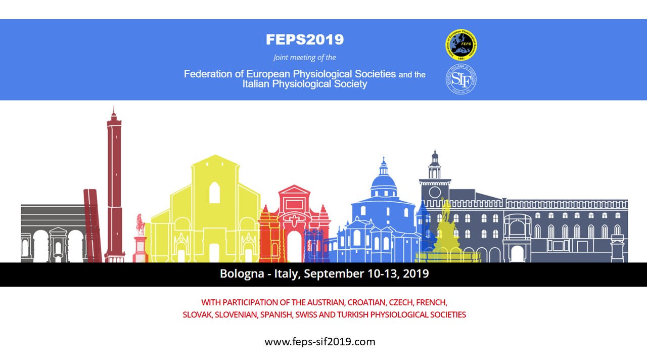 FEPS Bologna 2019 Banner